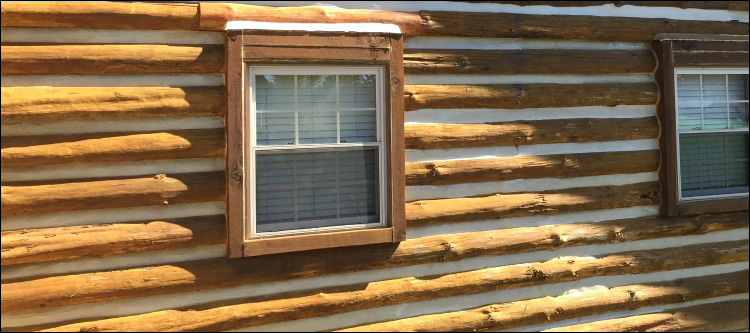 Log Home Whole Log Replacement  Owen County, Kentucky